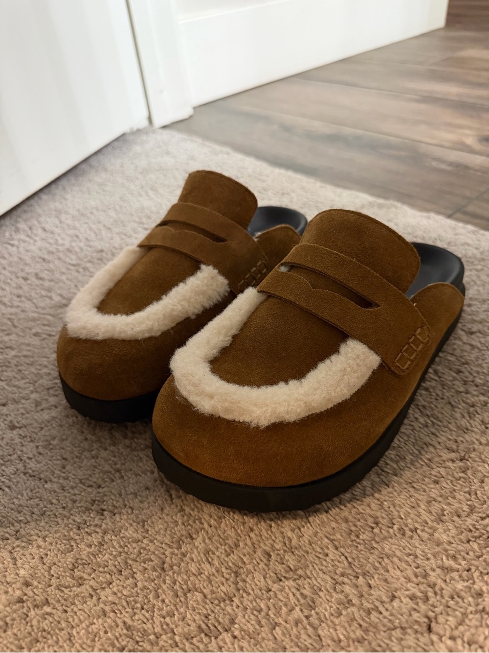 Women’s Steve Madden Tomlin Suede Shearling-Lined Slip-On Clog - Brown